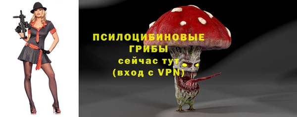 PSILOCYBIN Аркадак