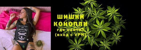 PSILOCYBIN Аркадак